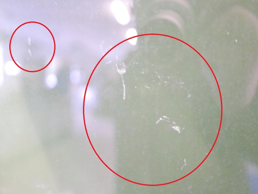 HINTERES TÜRFENSTER RECHTS FORD GALAXY MK1 95- Product image
