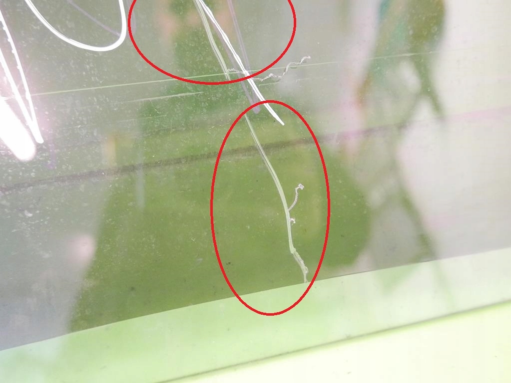 HINTERES TÜRFENSTER RECHTS FORD GALAXY MK1 95- Product image