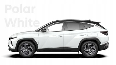 HYUNDAI TUCSON IV 4 21r AUSSENGRIFF HINTEN LINKS Product image