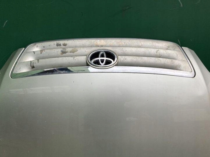 7456720261 Toyota-Haube Product image