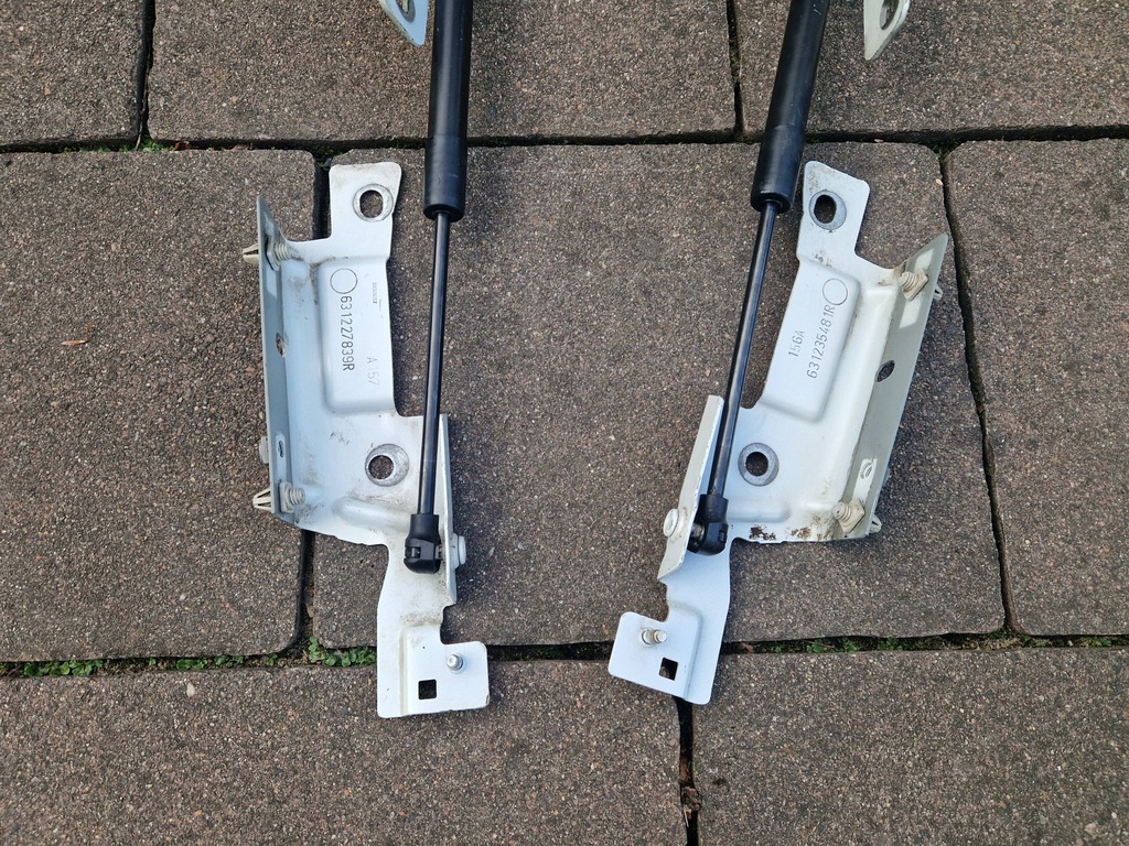 Captur und Scharniere Maskenklammern Zylinder 654011593R 654001377R 13-2019 Product image