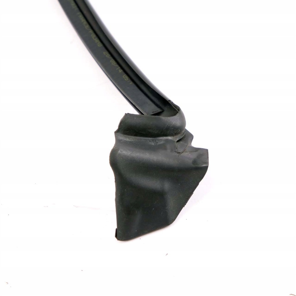 BMW i3 I01 Hybrid Electric Gummi-Türdichtung rechts vorne 7301746 Product image
