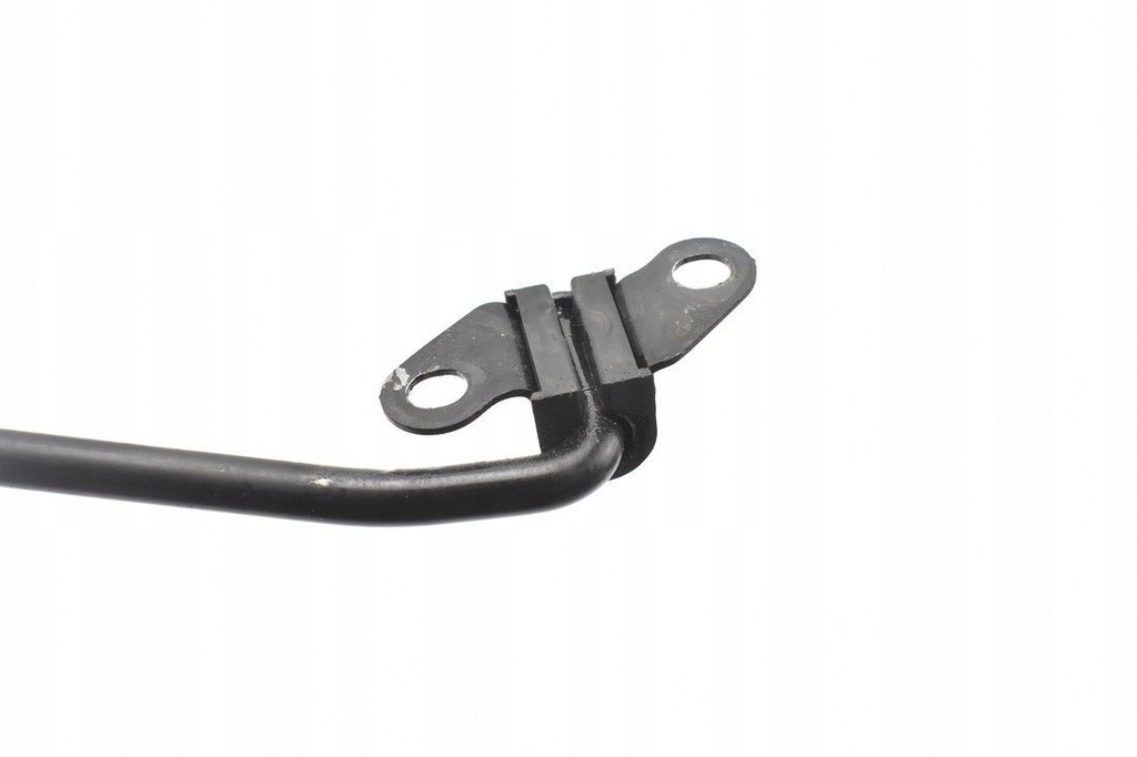 Hyundai Ioniq Charry Mask Support Product image