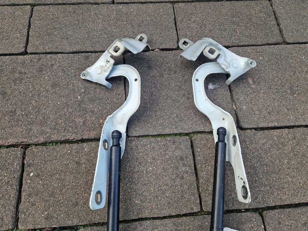 Captur und Scharniere Maskenklammern Zylinder 654011593R 654001377R 13-2019 Product image