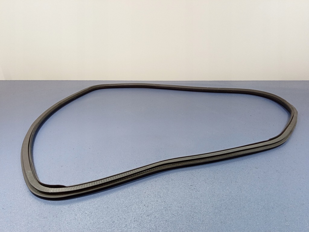 INSIGNIA A HB TÜRDICHTUNG LINKS HINTEN 13228128 Product image