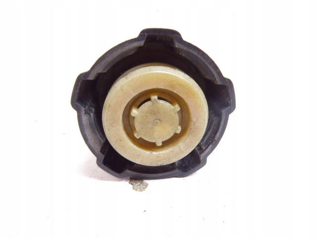 Renault Scenic I hebe 99-03 Stau der Expansion 1,9 DTI Product image