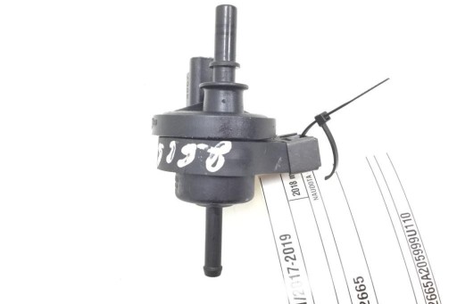 Nissan Qashqai II (J11, J11_) V29036755 1.2L Benzin