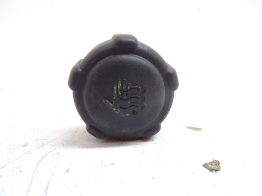 Renault Scenic I hebe 99-03 Stau der Expansion 1,9 DTI