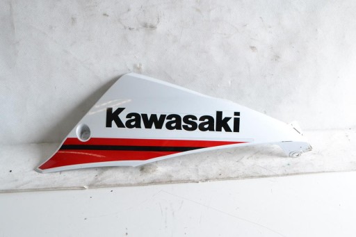 Pflugseitenverkleidung Kawasaki Ninja 650 Z650 EX650 17-19