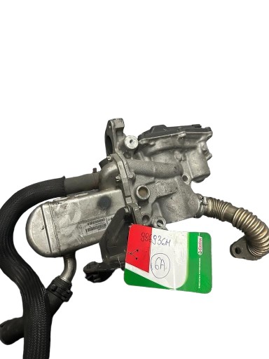 AGR-KÜHLER + ABGASRÜCKFÜHRUNG AGR-VENTIL MEGANE III 1.9DCI 996936M